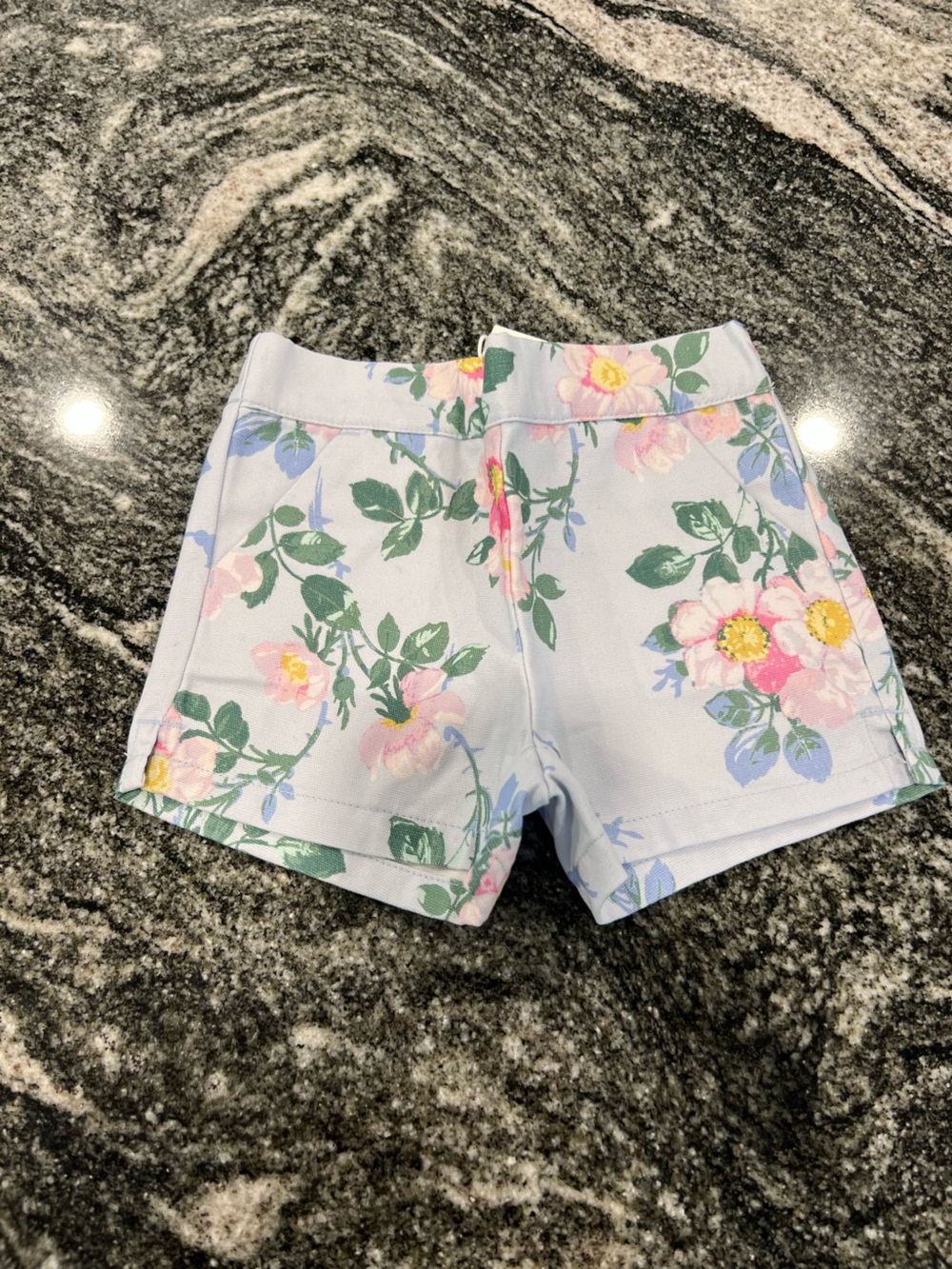 Janie and Jack Pastel Blue Floral High-Waist Shorts
